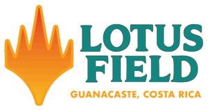 cropped-Logo-LotusField-horizontal.png